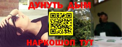 дмт Бийск