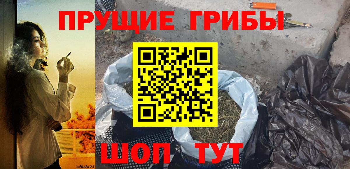 Псилоцибиновые грибы Psilocybine cubensis Клинцы