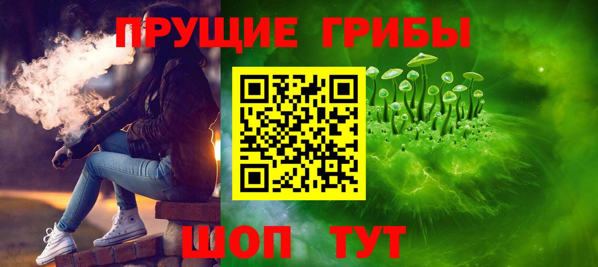 Псилоцибиновые грибы GOLDEN TEACHER  Вход с VPN  Клинцы 